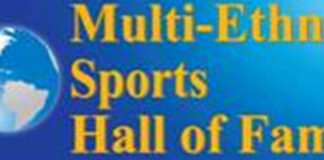 Multi-Ethnic Sports Hall of Fame