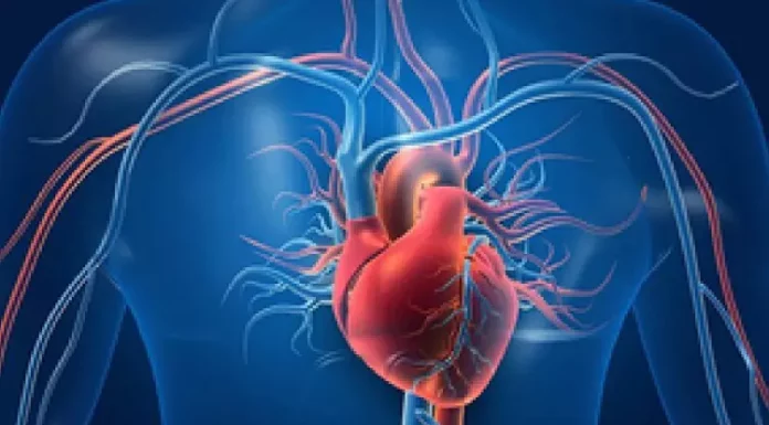 Lifestyle risks weigh heavier on women’s hearts: Study Heart