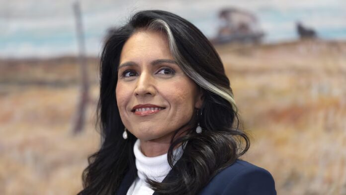 Tulsi Gabbard