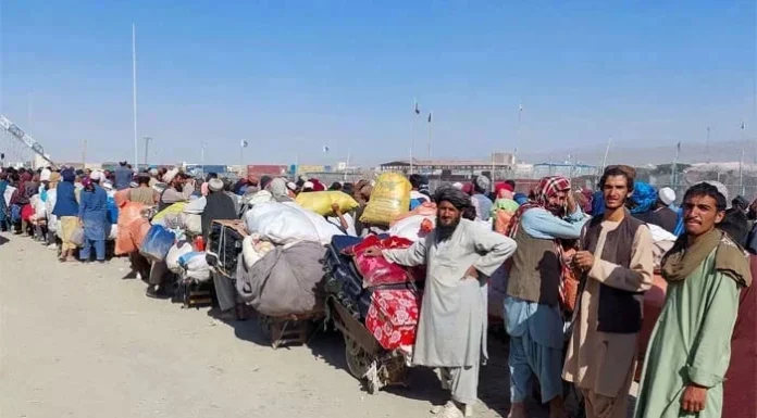 Afghan