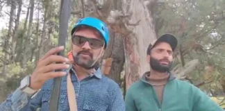 Zipline