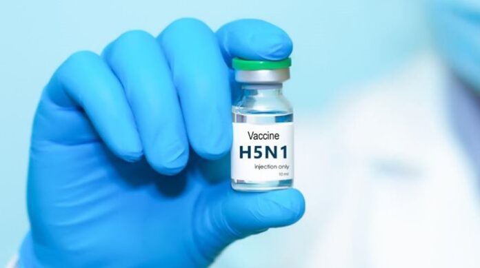 vaccine