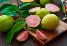 Guava
