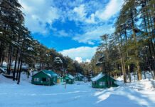 Patnitop
