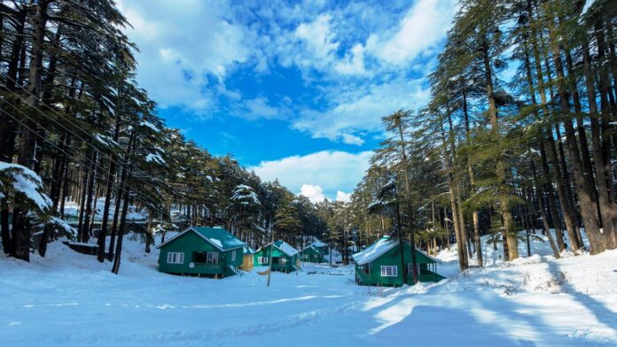 Patnitop