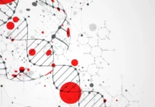 Liraglutide
