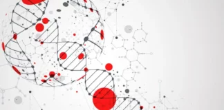 Liraglutide