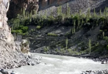 Pakistan