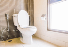 Toilet Seats
