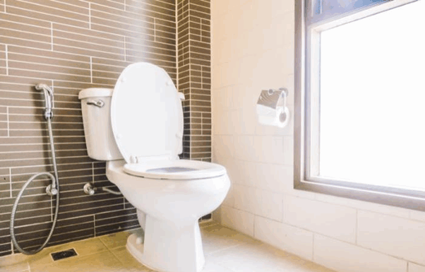 Toilet Seats