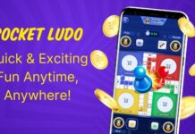 Pocket Ludo