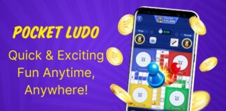 Pocket Ludo
