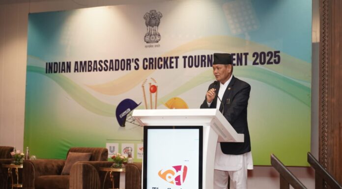 Indian Ambassador's Cricket