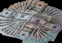 India’s dollar millionaires
