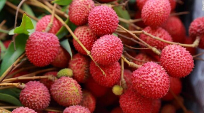 India flags off first consignment of rose-scented litchi from Pathankot to Qatar litchi