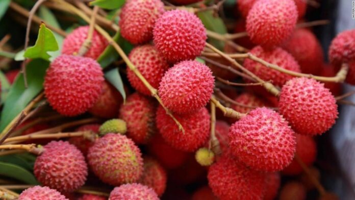 litchi