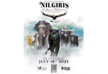 Nilgiris