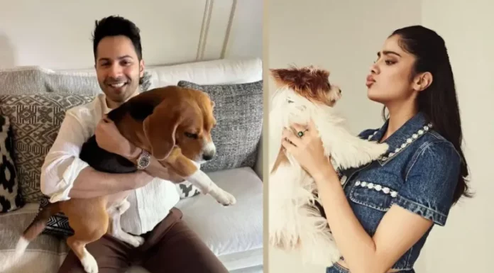 “Just no compassion left”: Janhvi Kapoor Varun Dhawan react to SC’s order on stray dogs stray dogs