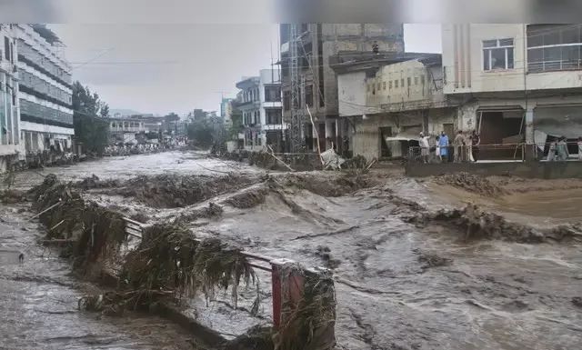 Pakistan: 802 dead, over 1,000 injured amid torrential rains, flash floods Pakistan