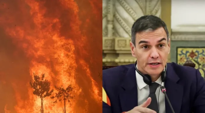 Spanish PM announces civil protection emergency over wildfires Spanish PM