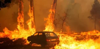 Wildfires