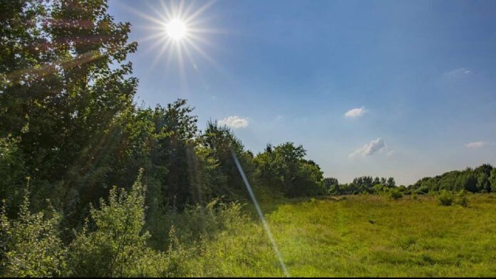 sunlight