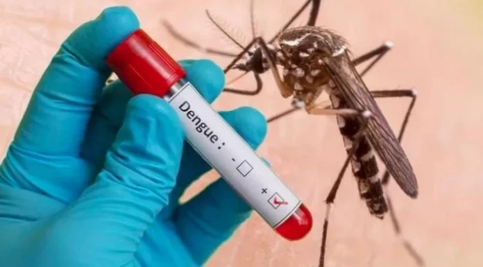 Dengue