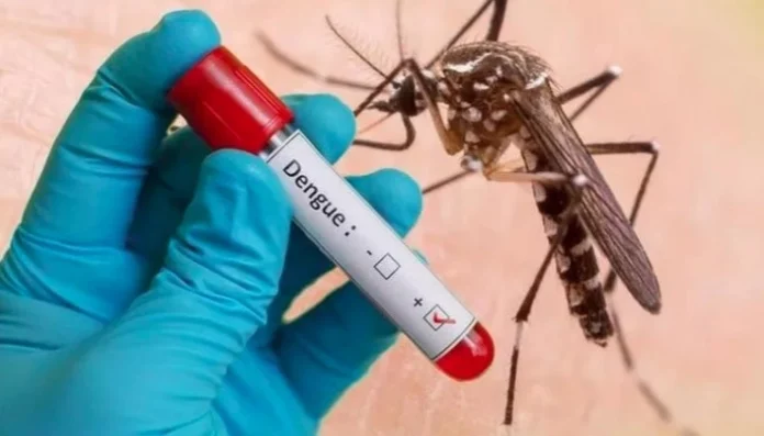 Dengue
