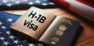 H1B