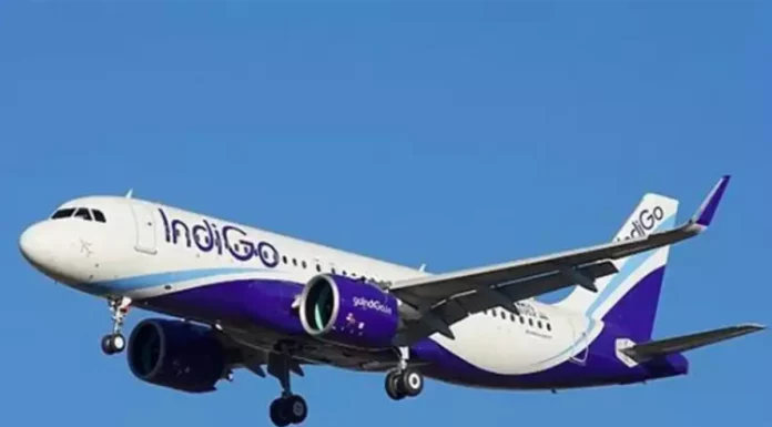 IndiGo