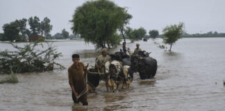 Pakistan