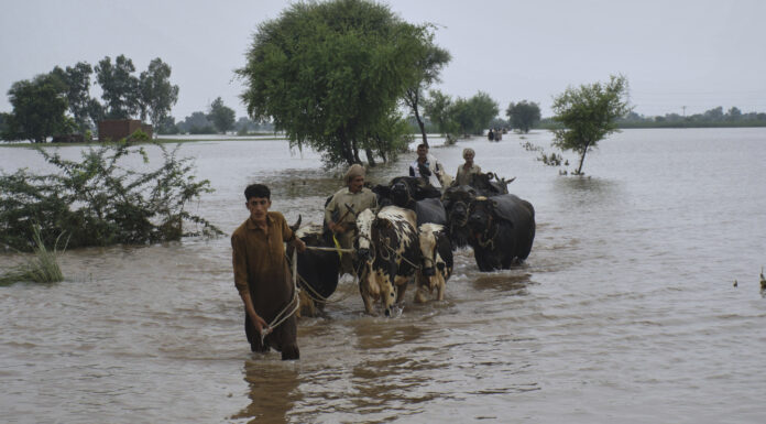 Pakistan: Thousands displaced in Punjab as rivers swell; authorities face criticism Pakistan