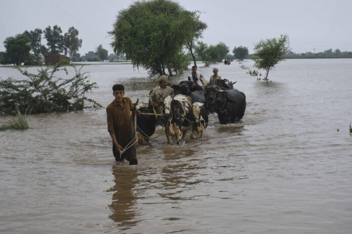 Pakistan