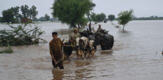 Pakistan