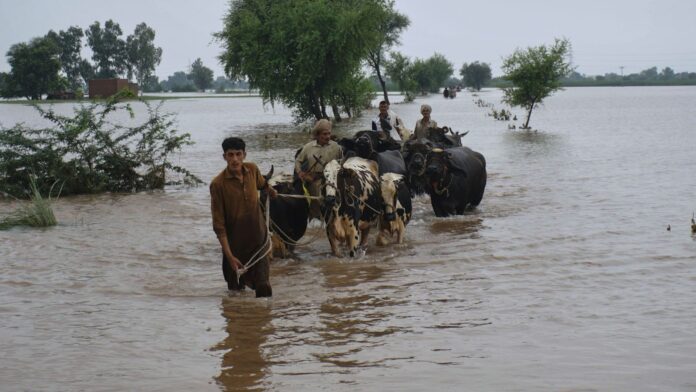 Pakistan