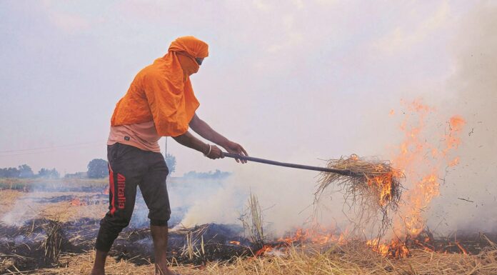 Stubble burning