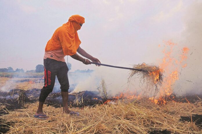 Stubble burning