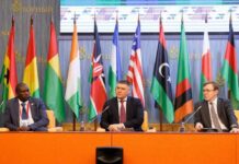 Russia, Africa deepen partnership in mining and education Russia