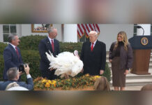 Thanksgiving tradition