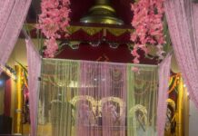 Tulsi Vivah celebrated with devotion and joy at Fremont Hindu Temple Tulsi Vivah