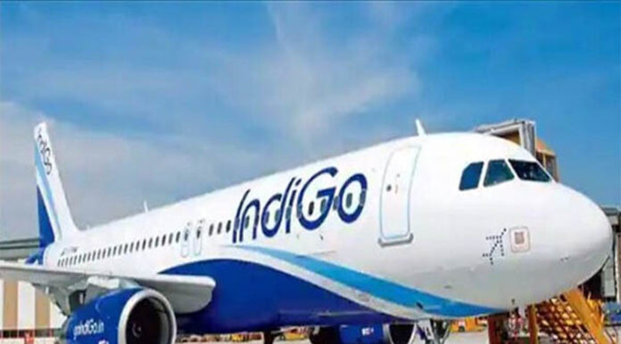 IndiGo