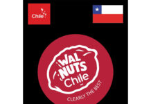 The Ultimate Winter Brain Food: Why Walnuts Belong in Every Household Walnuts