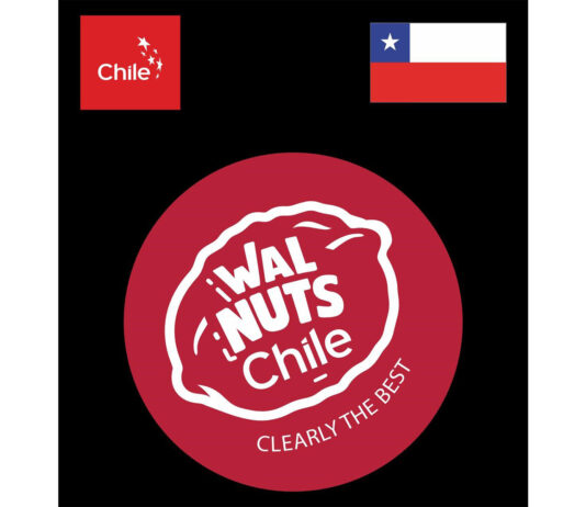 The Ultimate Winter Brain Food: Why Walnuts Belong in Every Household Walnuts