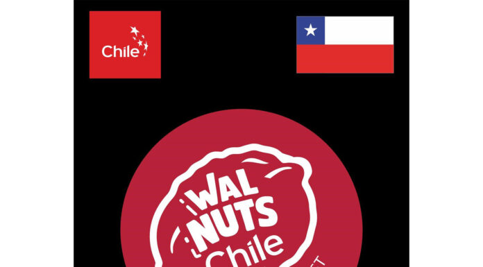 The Ultimate Winter Brain Food: Why Walnuts Belong in Every Household Walnuts