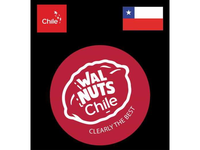 The Ultimate Winter Brain Food - Why Walnuts Belong in Every Household Walnuts