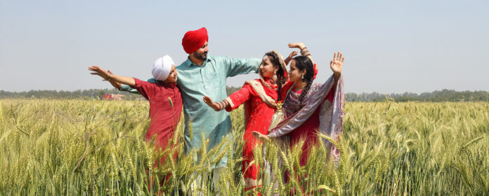 Punjab farmers celebrate Vaisakhi Vaisakhi