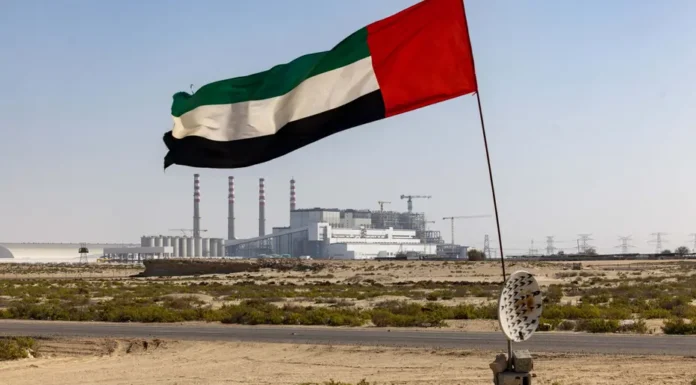 UAE exits OPEC: short-term pain, long-term gain as global oil shift to benefit India: Report UAE