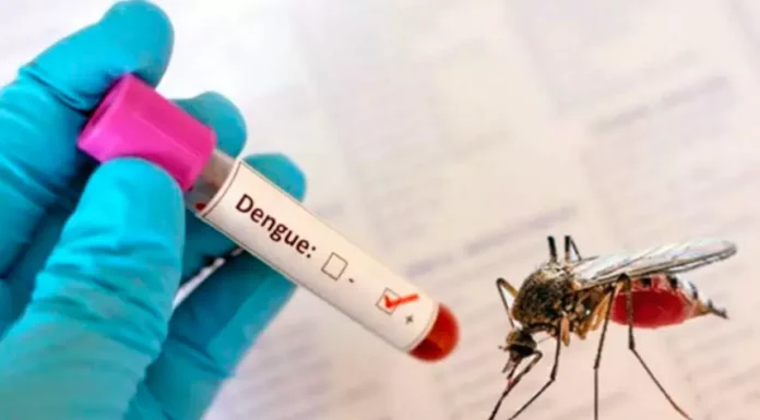 Dengue cases rise in Sri Lanka amid monsoon risk: health officials Dengue