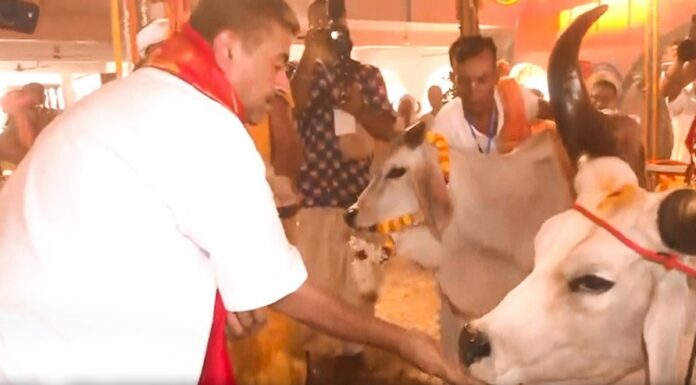 West Bengal CM Suvendu Adhikari performs Gau Puja at ISKCON Mayapur, seeks blessings Suvendu Adhikari