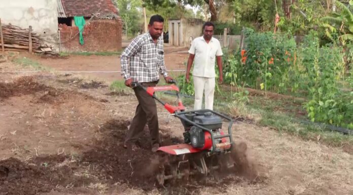 Zero cost, double profit: Gujarat’s Dahod farmers see success in natural farming practices Gujarat